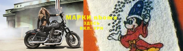 Альфа ПВП Бородино