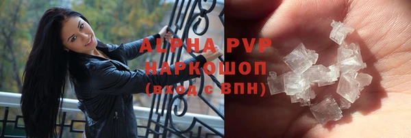 сатива Бронницы