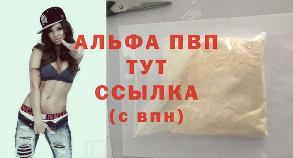 Альфа ПВП Бородино