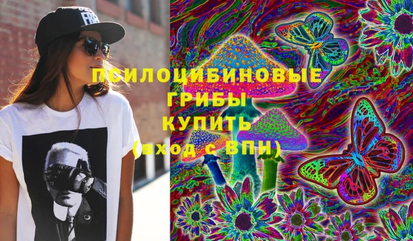 сатива Бронницы