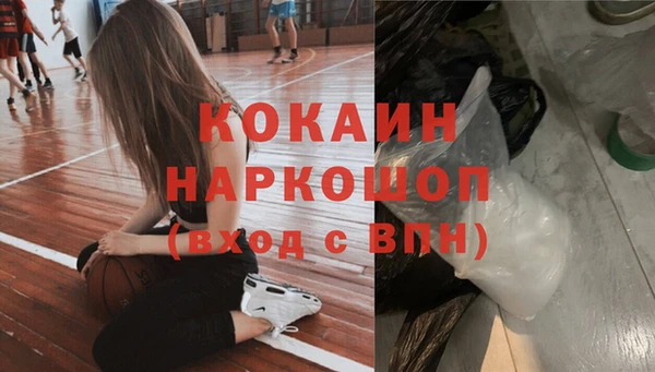 Альфа ПВП Бородино