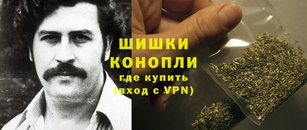 сатива Бронницы