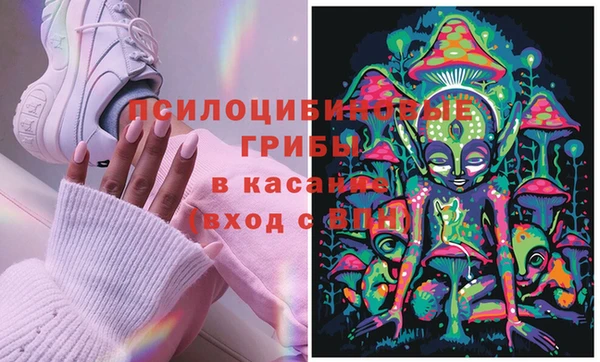 Альфа ПВП Бородино