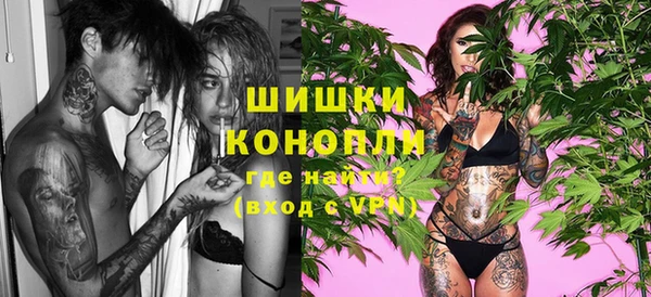 сатива Бронницы