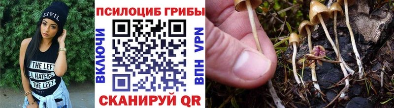 Галлюциногенные грибы Cubensis  цены   Новочеркасск 